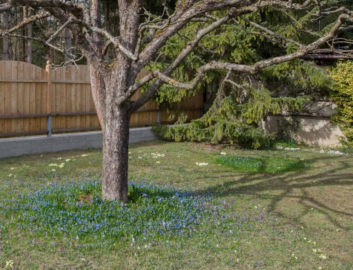 Garten Appartement Harmony Finkenstein am Faaker See Dış mekan fotoğraf