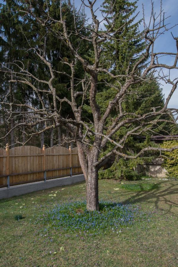 Garten Appartement Harmony Finkenstein am Faaker See Dış mekan fotoğraf