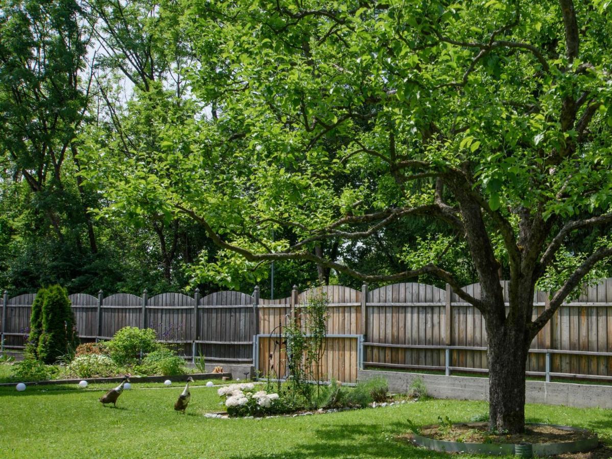 Garten Appartement Harmony Finkenstein am Faaker See Dış mekan fotoğraf