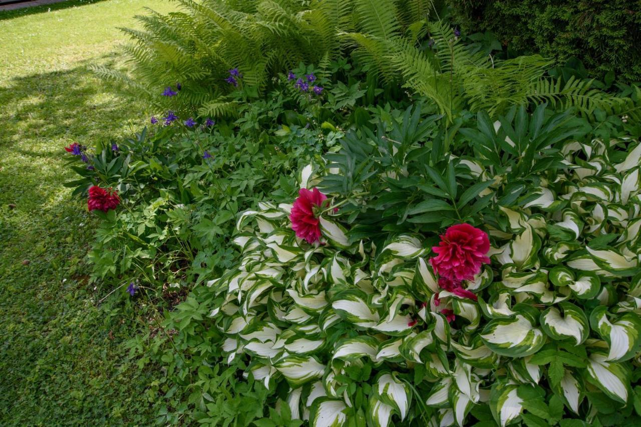 Garten Appartement Harmony Finkenstein am Faaker See Dış mekan fotoğraf